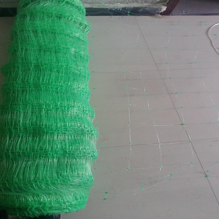 Plastic Pea and Bean Mesh